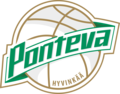 HYVINKAAN PONTEVA Team Logo
